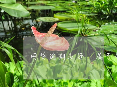 网贷逾期没还 属于诈骗吗